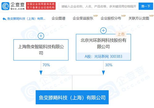 光環新網參股成立科技新公司，聚焦人工智能基礎軟件開發